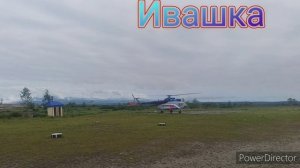 Раскрыв крылья.