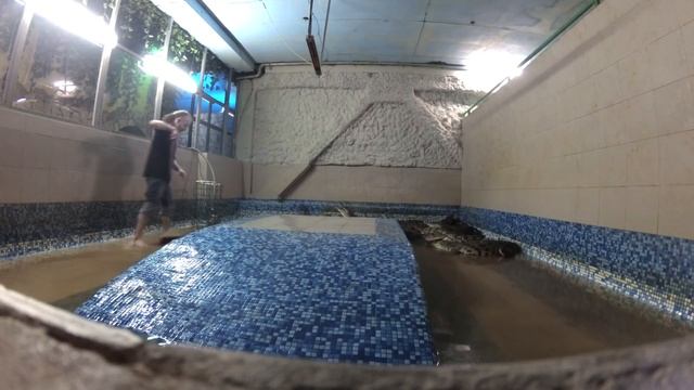 "По колено в крокодилах!" Экстремальная уборка в бассейне у нильских крокодилов! смотреть онлайн