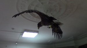 Сплав по реке Хопер (8 часть) 34 дня одиночного плавания