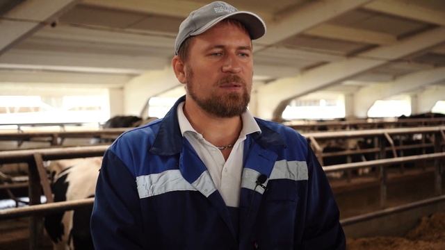 Как содержат сухостойных коров? Профилактика гипокальциемии и смещения сычуга. Болюсы CALCIFAST. смотреть онлайн