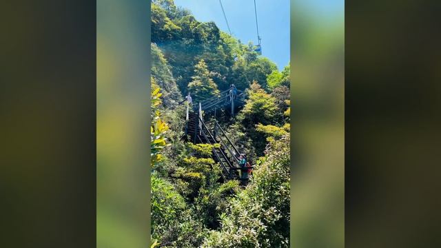 Ngong Ping 360 Rescue Trail at Hong Kong смотреть онлайн