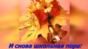 «Учиться надо весело». Кругошкольное путешествие