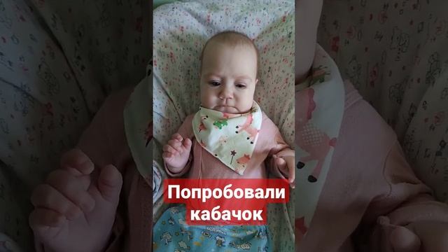 Прикорм!Сегодня попробовали кабачок #детицветыжизни #поставьлайк
