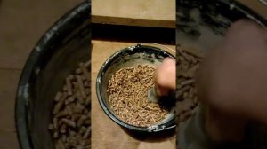 Пневмоподача на котле Kiturami KRP20A