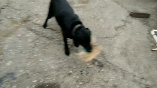 Не греется двигатель, не греет печка, замена термостата, Лифан. смотреть онлайн