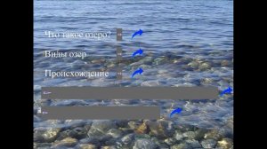 экосистема озера 3 класс презентация