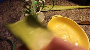 Домашняя Аптечка делаем лекарство из Алоэ