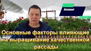 Основные факторы влияющие на выращивание качественной рассады