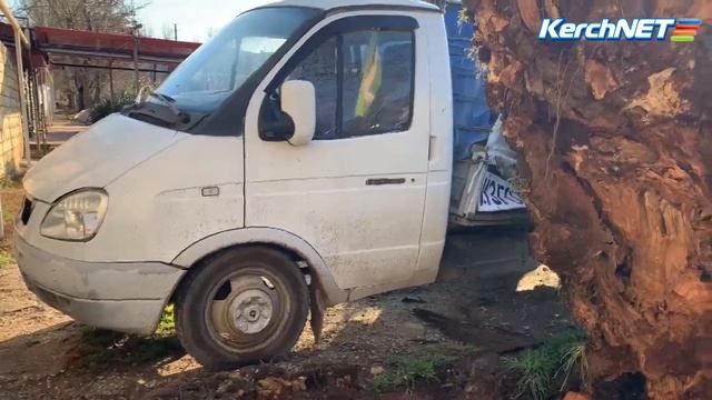 На улице Щорса упало дерево на "Газель"