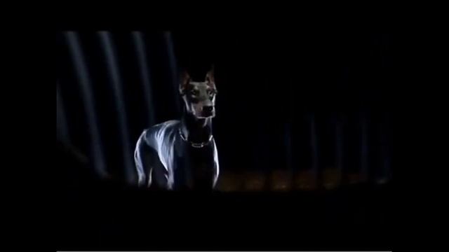 промо смотреть онлайн