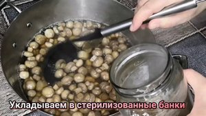 Маринованные грибы. Быстрый и вкусный рецепт. Грибы на зиму.