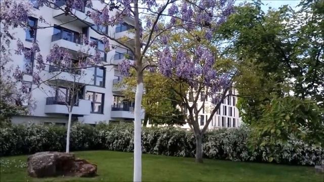 Жизнь в Германии: летом в парке в Баварии смотреть онлайн