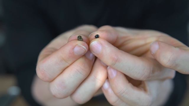 Lower Calorie Chinese Takeout: Kung Pao Chicken смотреть онлайн