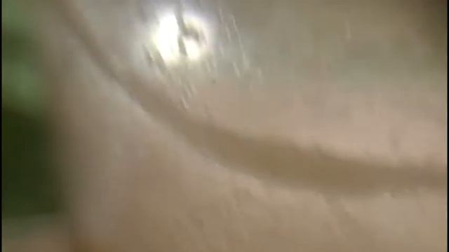 Нематода. СЕКРЕТ О РАЗВЕДЕНИИ. Как просто. смотреть онлайн