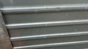 Индюки хайбрид конвертер на мясо по сколько выходят тушки и когда забивать купить мясо индейки