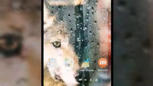 Как перехитрить whaff rewards, как получать задания бесконечно! смотреть онлайн