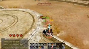 ArcheAge арена Палач против Скальда. (Сервер Невер)