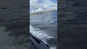 Сходка kitt boats 2
