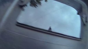 Ремонт тарелки сцепления мотокосы