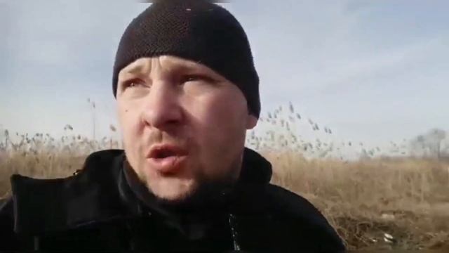 Расчистка берега от камыша. Продолжаем. Дом у реки в Краснодарском крае смотреть онлайн