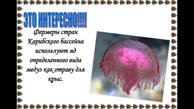 Проект на тему исследование глубин морей и океанов