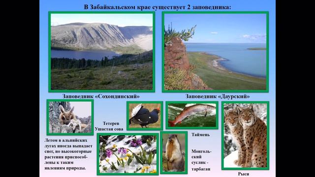 Заповедная Россия