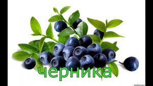 Фрукты, ягоды, овощи. Первые слова малыша