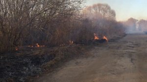 Белоомут, люди в форме МЧС уничтожают птиц,поджигая траву