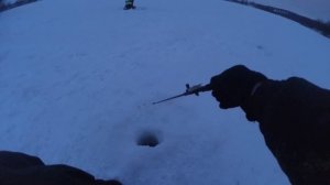 Рыбалка на Оке в Кашире  , Ночной судак .#блесна #зима#судак#