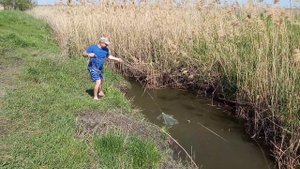 рыбалка кастинговой сетью на микро речке