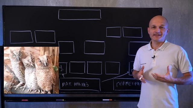 Высшая математика. Рисую дерево вышмата смотреть онлайн