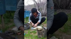 Самодельный кормушка для пчел
