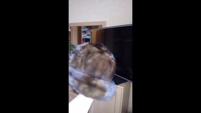 Шапка норковая боярка мягкая р.56-57 смотреть онлайн