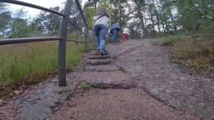 Путешествие в парк Монрепо в Выборге: отдых в Ленинградской области, экотропа, окрестности Выборга