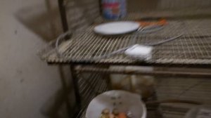 ЯЙЦЕНОСКОСТЬ и СНИЖЕНИЕ ТЕМПЕРАТУРЫ!!!  Зимнее содержание Кур и Перепелов.