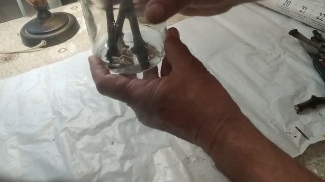 Размножение любого сорта винограда весной. 100% гарантия!