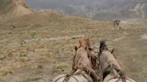 ЗЛОЙ,ПЛОХОЙ,ХОРОШИЙ...