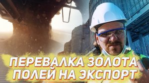 Новороссийский Зерновой Терминал | Mashnews