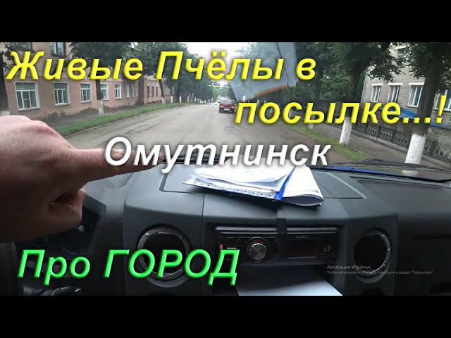 Последний рейс на Омутнинск, живые Пчёлы в посылке, Омутнинский Пруд.