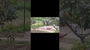 Янтогзор, Пролетарск, Таджикистан