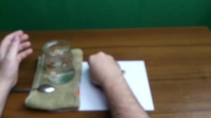 Стратификация лесного ореха. Размножение фундука семенами. Можно или нет размножать лещину