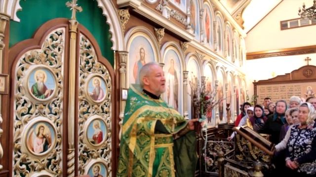 Проповедь на праздник "Вход Господень в Иерусалим" смотреть онлайн