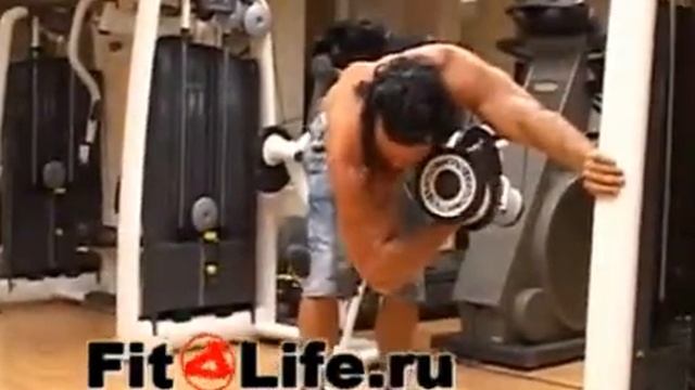 36 УПРАЖНЕНИЯ НА БИЦЕПС КОНЦЕНТРИРОВАННЫЙ ПОДЬЕМ Low смотреть онлайн