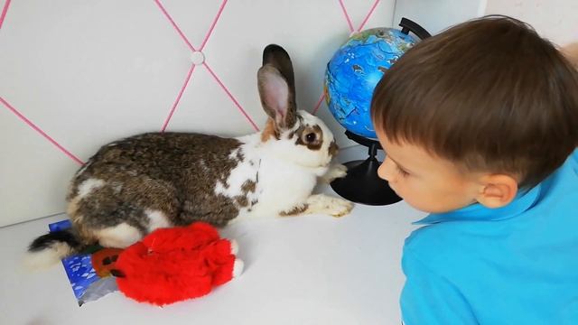 У НАС ДОМА КРОЛИК. НАСТЯ И РЕНЯ НА ФЕРМЕ смотреть онлайн