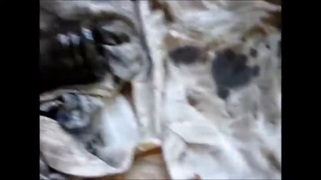 Ремонт РАБОЧЕГО ЦИЛИНДРА СЦЕПЛЕНИЯ (Москвич 2140) смотреть онлайн