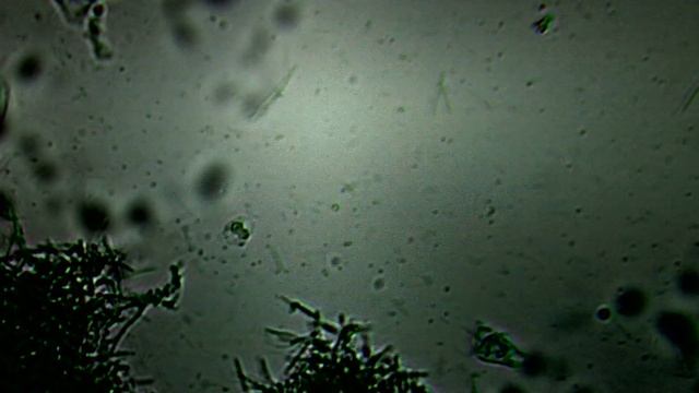 Напоминание тем, кто садится есть с немытыми руками! смотреть онлайн