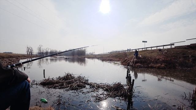Рыбалка в Адыгее, февраль. Караси-монстры не дают покоя...