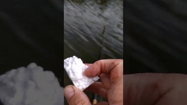 21 июня 2020 г. смотреть онлайн