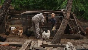 Выданный дальневосточный гектар забирают в пользу государства