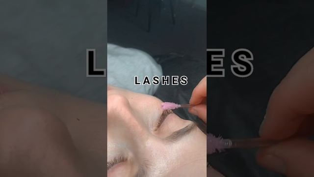 LASHES#shortvideo #shorts #lashes #lamination #beauty #ресницы #ламинированиересниц #нижнийновгород